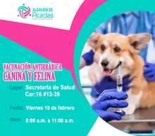 Jornada de Vacunación Antirrábica de Mascotas