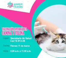 Jornada gratuita de Vacunación Antirrábica de Mascotas