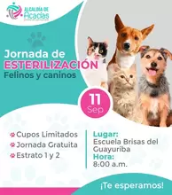 Jornada gratuita de esterilización a los perros y gatos mayores de 6 meses