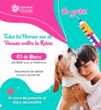Vacunación gratuita antirrábica para perros y gatos 
