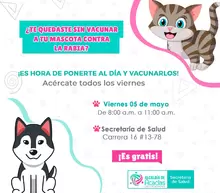 Vacunación antirrábica gratuita para mascotas