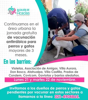 Jornada Gratuita de Vacunación Antirrábica por barrios barrios 