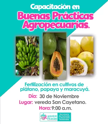Buenas prácticas agropecuarias: En la vereda San Cayetano