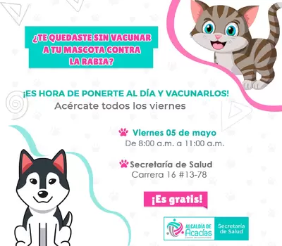 Vacunación antirrábica gratuita para mascotas