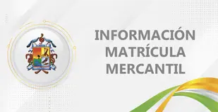informacion matricula mercantil
