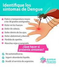 sintomas del dengue 