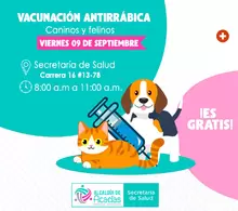 perros vacunación 