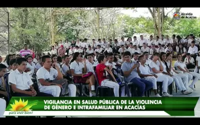 VIOLENCIA DE GÉNERO E INTRAFAMILIAR  EN ACACÍAS