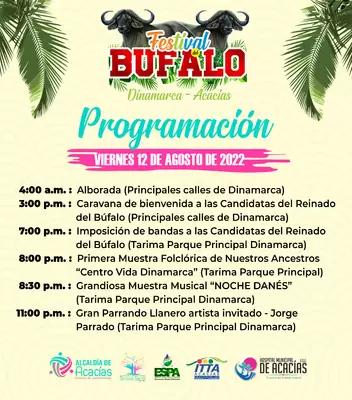 Programación Festival del Búfalo