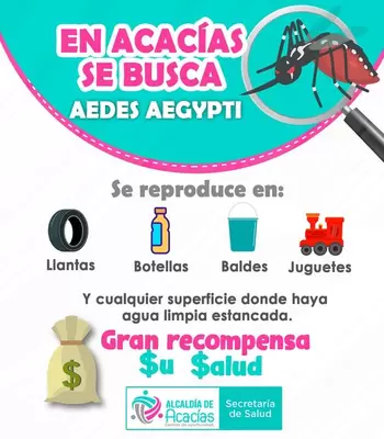 Pilas con el dengue! A tomar medidas preventivas en casa