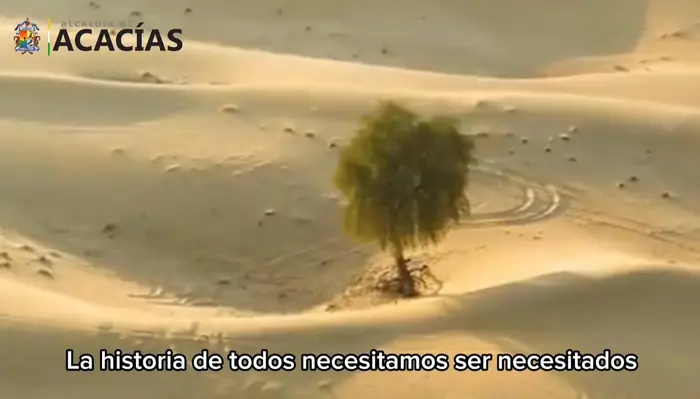 Parábola cristiana de un árbol solitario en el desierto de cómo todos necesitamos ser necesitados