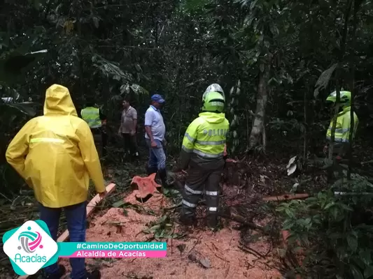 Policía Ambiental incautó madera producto de tala ilegal en Acacías