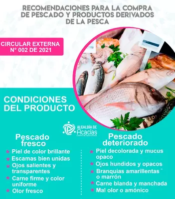 Recomendaciones para la compra de pescado en Semana Santa