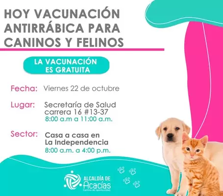 Jornada de vacunación antirábica para mascotas