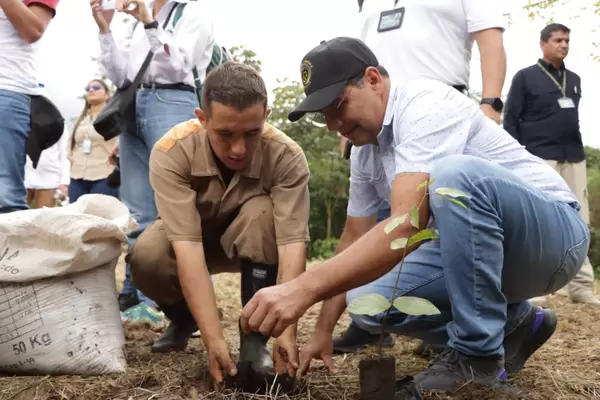 Proyecto de reforestación con 5.000 árboles en la Colonia Penal Agrícola de Acacías